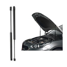 2x Motorhaubendämpfer