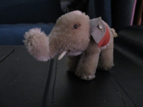 Original kleiner steiff - original,