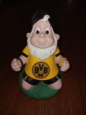 bvb Zwerg