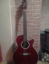 Takamine Stahl Seiten Gitarre