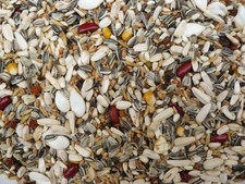 Papageienfutter ohne Nüsse 5 kg Spezial Vogelfutter Samenmischung Papagei Ara