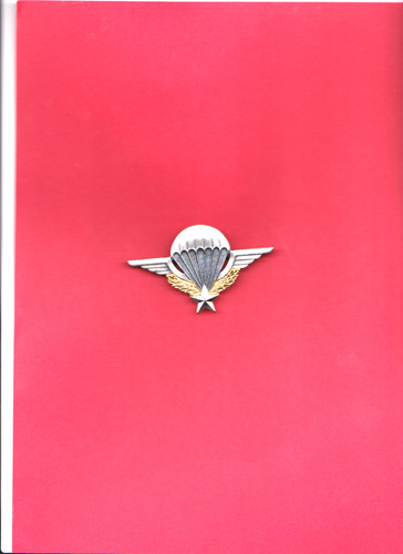 Militär-FALLSCHIRMSPRINGER-Ab