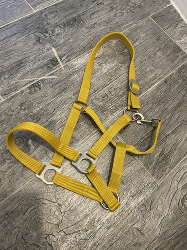Halfter showmaster c - showmaster,