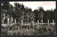 Hohegeiß, An der Zonengrenze