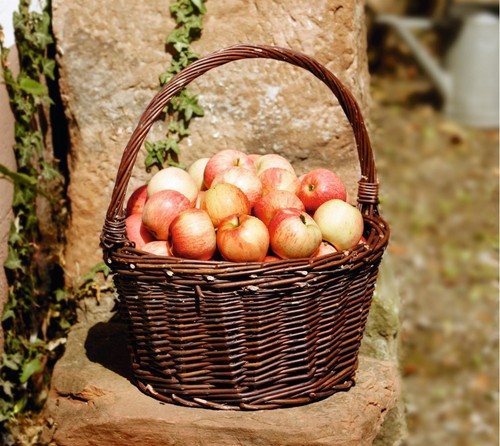 Weidenkorb pilzkorb obstkorb - weidenkorb,