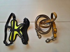 Hundegeschirr + Leder Leine, Leine und Brustgeschirr Verstellbar für Kleintiere