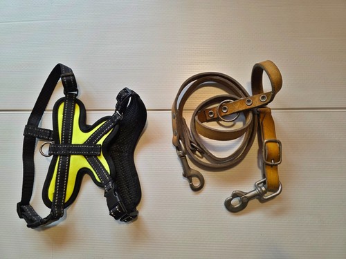 Hundegeschirr leder leine - hundegeschirr, +