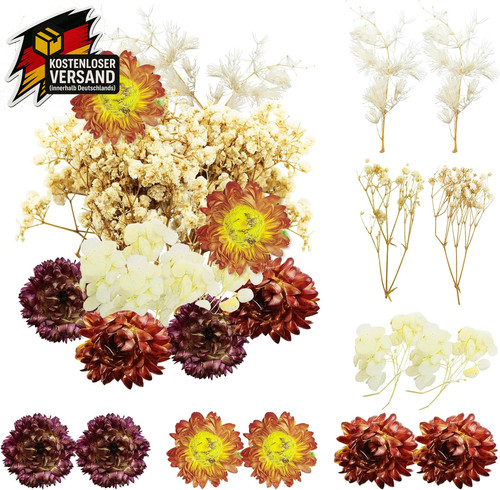 Trockenblumen getrocknete - trockenblumen,,