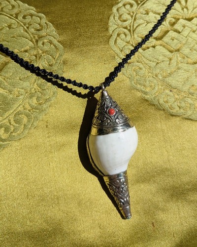 Tibet muschel horn anhänger - tibet., muschel-horn