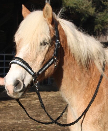 Glitzer leder trense - trense, gebisslos