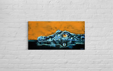 Krokodile Bilder Abstrakt