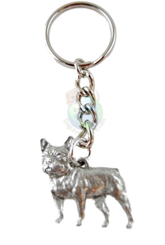 Französische bulldogge - französische,