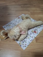 Steiff Hase Floppy Hansi, 26