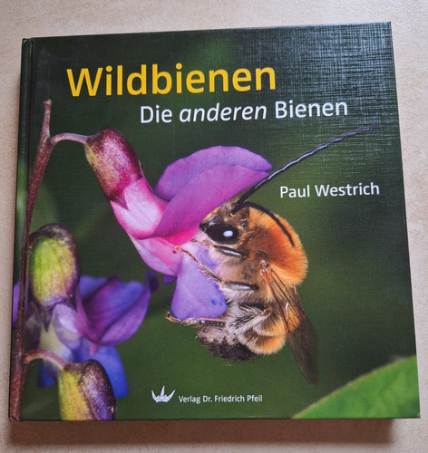 Wildbienen die anderen - die,