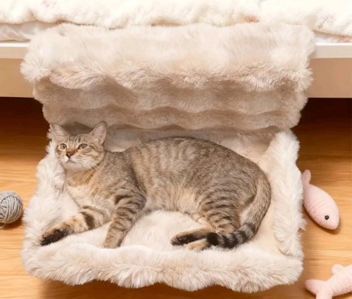 Katzen hängematte - katzen,