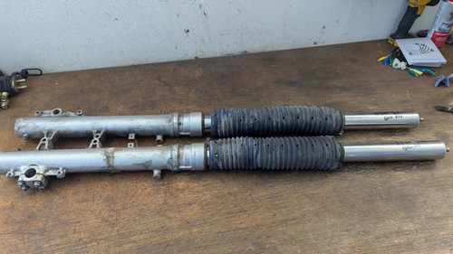 Gabelbeine gabelholme gabel - gabelbeine,