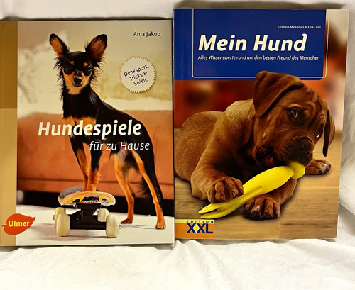 Hunde ratgeber taschenbuch - 2x,