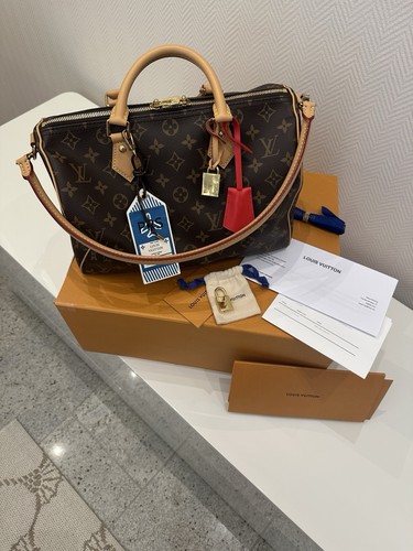 Louis vuitton speedy - louis, soft