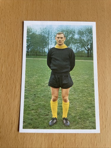 Bergmann 1966 67 wessel - ,