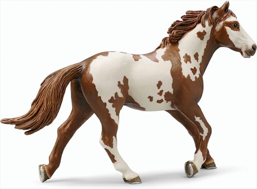 Schleich 13616 pinto - 13616, hengst