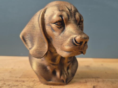 Beagle büste realistic - büste, /
