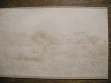 Ansichtskarte Namibia Karasberge Deutsch Südwestafrika nach Königsberg,verblaßt