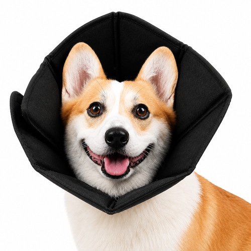 Hunde schutzkragen halskragen - hunde,