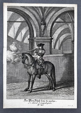 Das Pferd Schüß frei zu