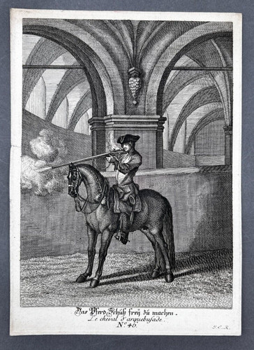 Das pferd schüß frei - pferd,