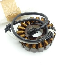 Original Triumph Speed Triple Tiger 1050 Lichtmaschine Lima Generator C5089