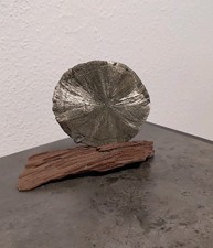 Funkelnde traumhafte Pyrit