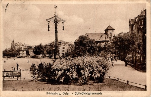 Gruss aus königsberg - ak,