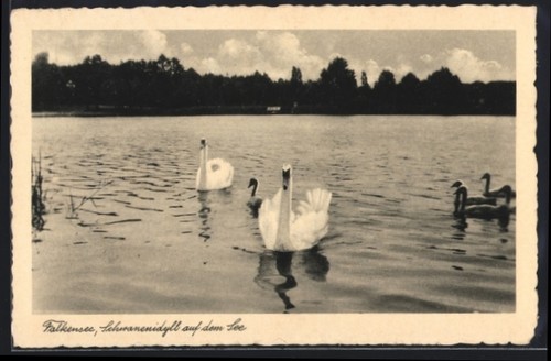 Falkensee schwanenidyll auf - falkensee,,