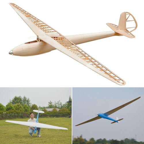 Dfs weihe segelflugzeug - dfs,