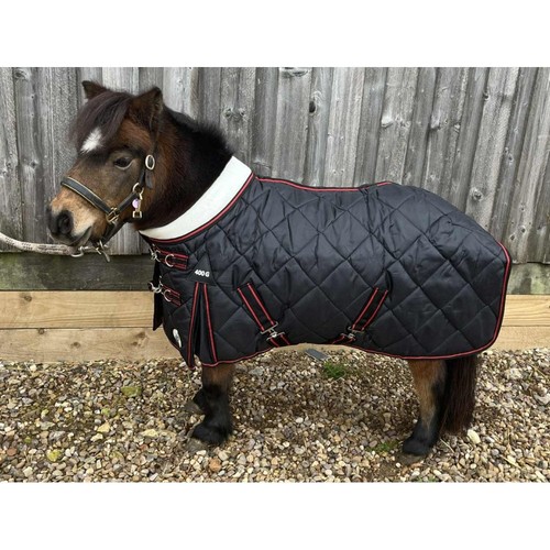Ruggles shetland miniatur - shetland,