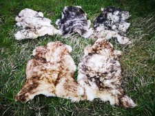 Echt Öko Schaffell Lammfell Fell Geflammt Bis 140cm 2.Wahl Schnäppchen