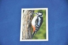 REWE Unsere WUNDERWELT Nr. 79