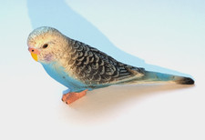 Schleich Tier Haustier Vogel