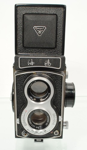 Seagull tlr 6x6 haiou - 6x6,