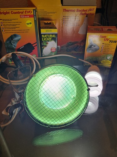 Bright sun control - bright,