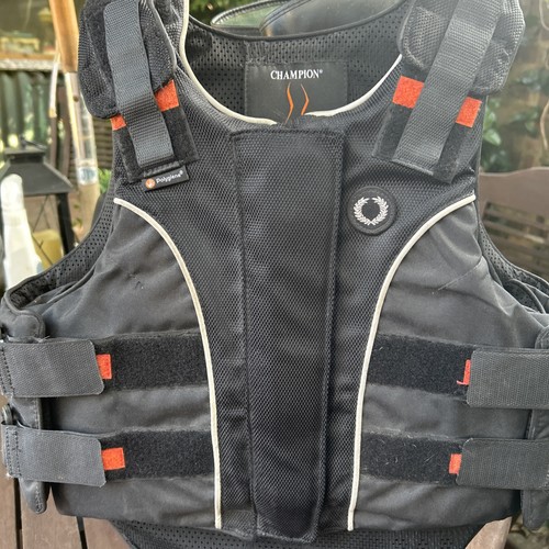 Reitsport konvolut champion - reitsport,