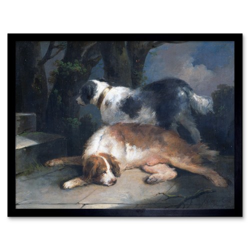Morland setters hunde tiere - morland,