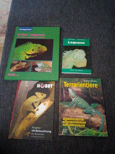Leguane im terrarium - x,