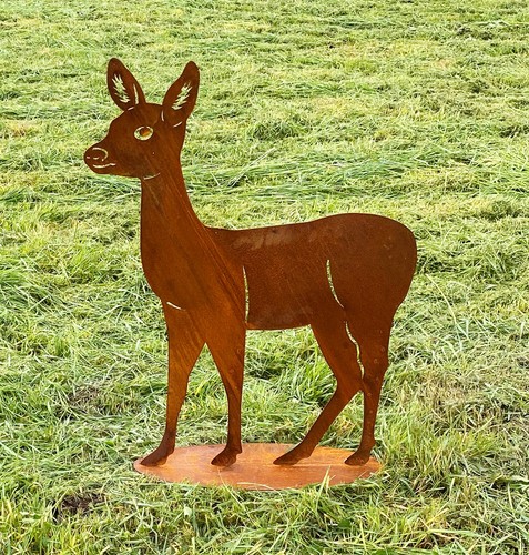 Stehendes reh 80x62cm auf - stehendes,