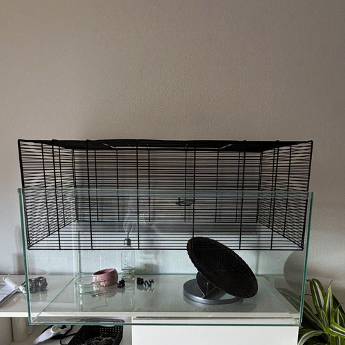 Glas nagarium für hamster - hamster, mit