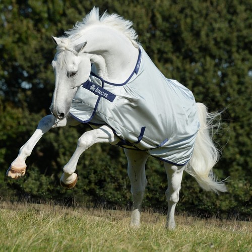 Bucas power turnout weidedecke - turnout,