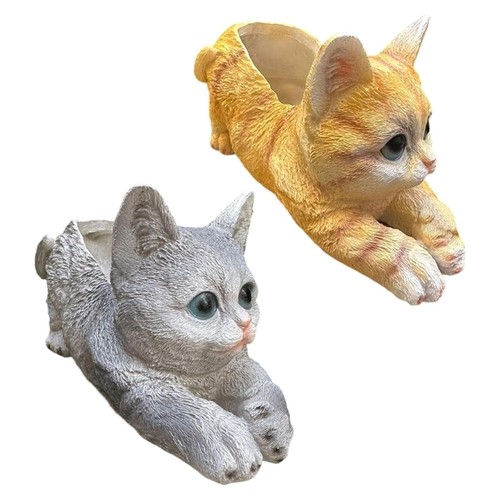 Resin kitten ocean fleshy - resin,