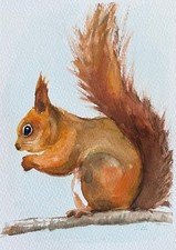Eichhörnchen Original