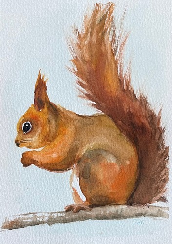 Eichhörnchen original - eichhörnchen,