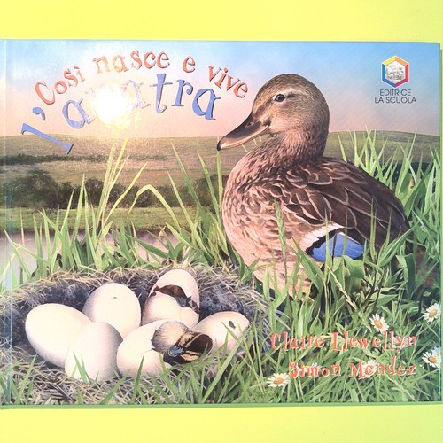 Wird die ente geboren und - wird,